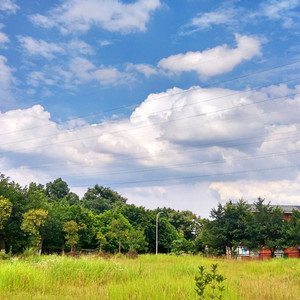 男生下面硬的视频
